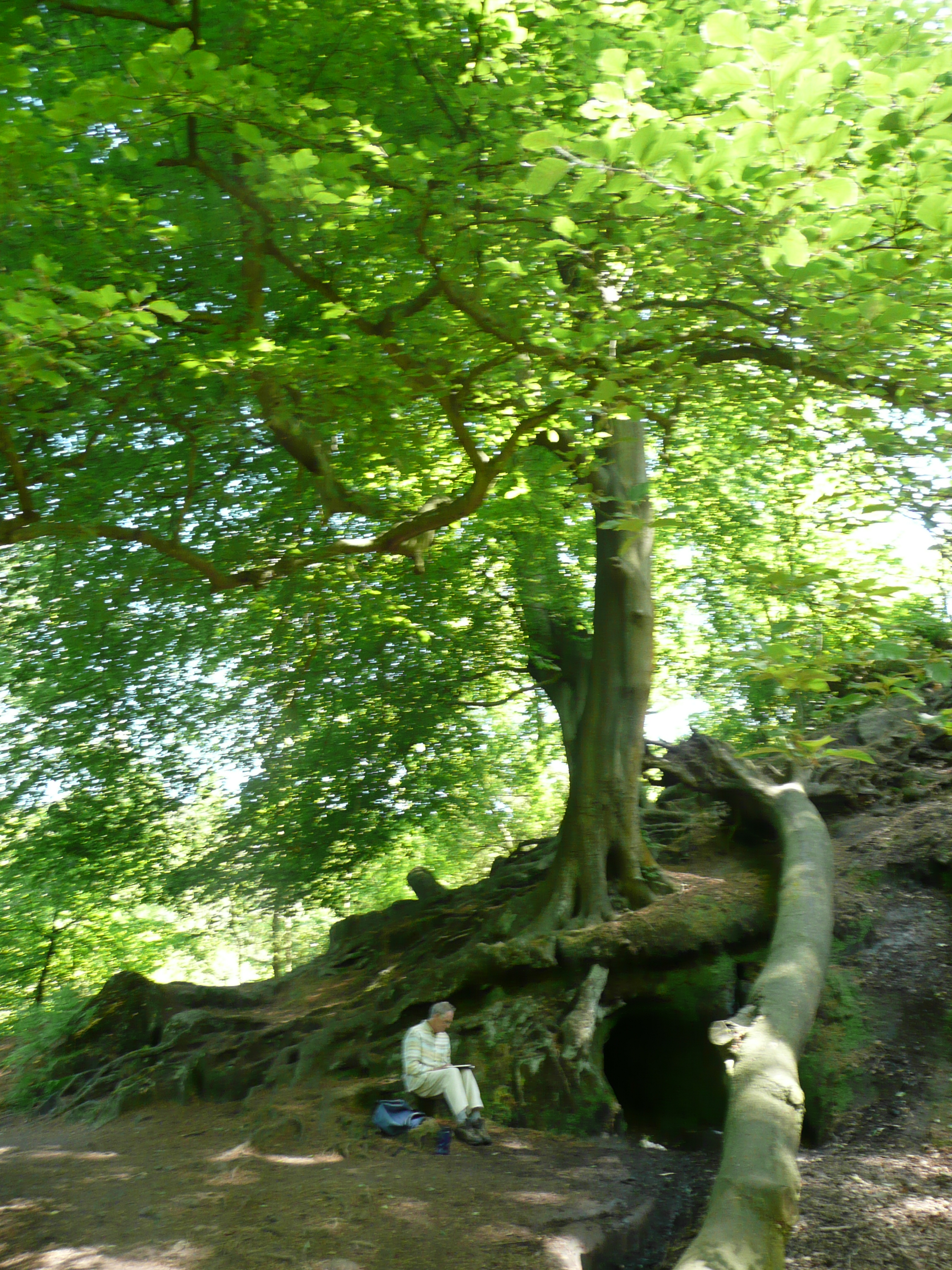 AlderleyEdgeMay09.jpg