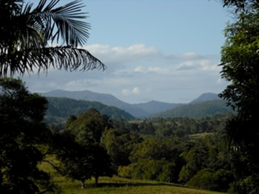 Rainforest Range Essences book cover